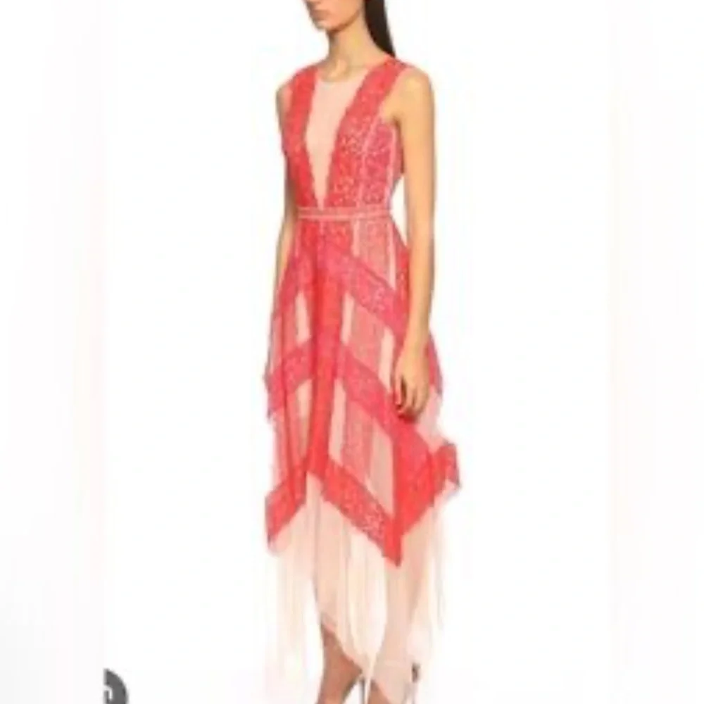 BCBGMAXAZRIA Lace & Tulle Illusion Midi Dress, 6 - Picture 3 of 9